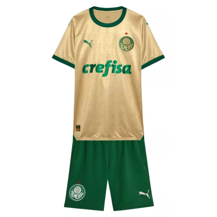 BRINDE-2024-12-06T141345.771-1 Kids KIT Palmeiras Third Jersey 2024/25 - Image 1